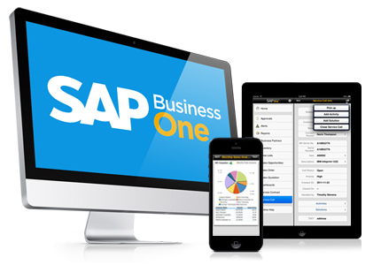 Kiến thức cần có để sử dụng và triển khai SAP ERP là gì?