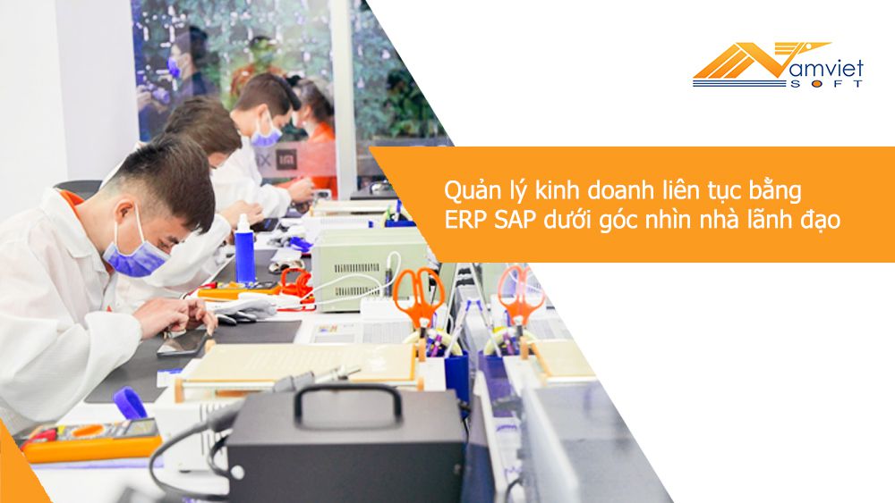 Quản lý kinh doanh liên tục bằng ERP SAP dưới góc nhìn của nhà lãnh đạo