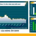 Ngành dệt may sẵn sàng trở lại trong bối cảnh mới