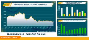 Ngành dệt may sẵn sàng trở lại trong bối cảnh mới