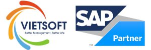 Vietsoft Logo