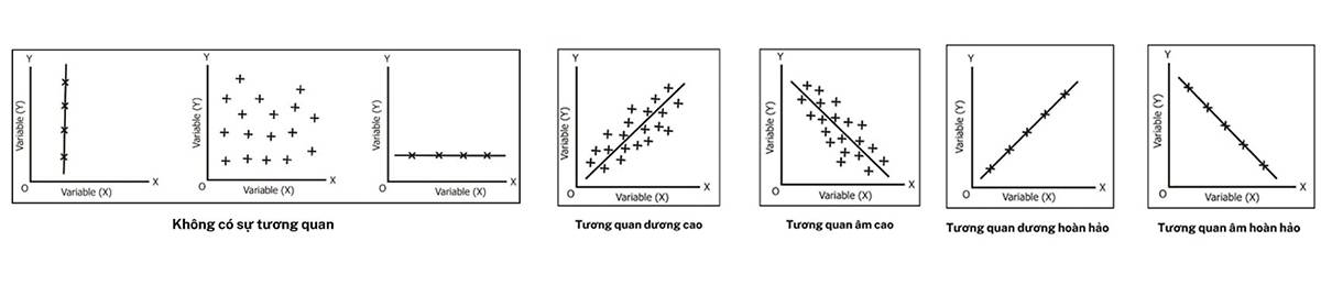 Biểu Đồ Phân Tán