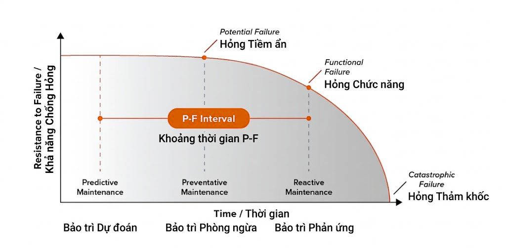 Đường cong P-FPotential Failure - Functional Failure